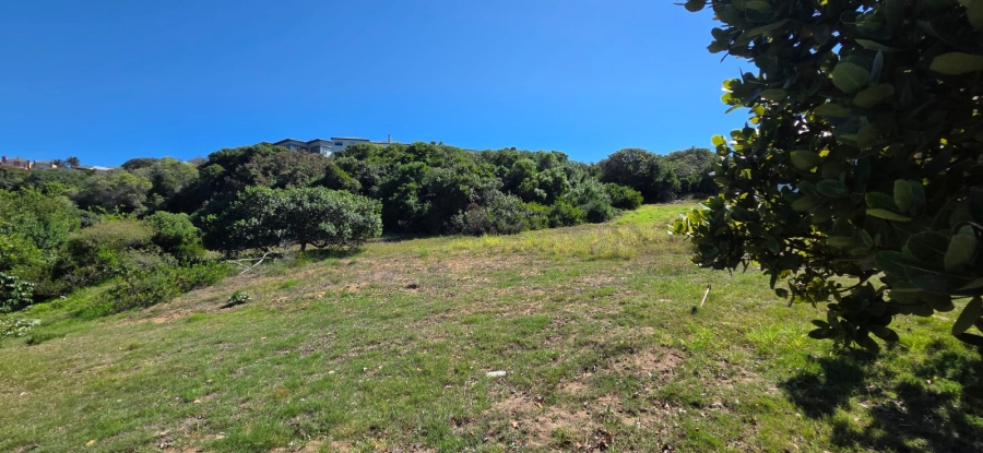 0 Bedroom Property for Sale in Stilbaai Wes Western Cape